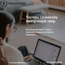 Torrens University Assignment Help New