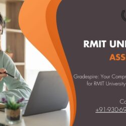 RMIT University Assignment Help