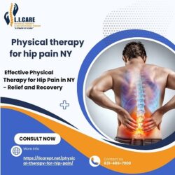 physical therapy for hip pain NY