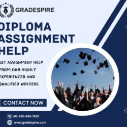DIPLOMA assignment help