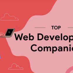 Web development company in India image 10