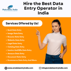 Hire Data Entry Operator  Experts at $4Hour in India