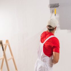 professional-painter-painting-interior