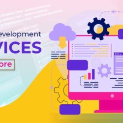 Software Development Services In Bangalore
