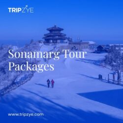 sonamarg tour packages 2-min(3)