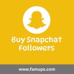 buy snapchat followers (10)
