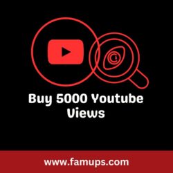 buy 5000 youtube views (3)