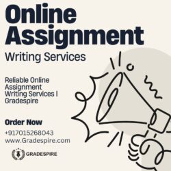 online assignment writing services 1