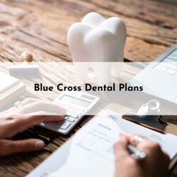 Blue Cross Dental Plans_11zon (1)
