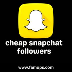 cheap snapchat followers (1)