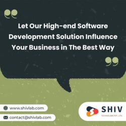 The Best Software Development Consulting Services