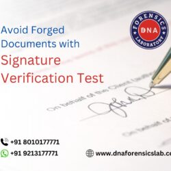 Avoid Forged Documents with Signature Verification Test