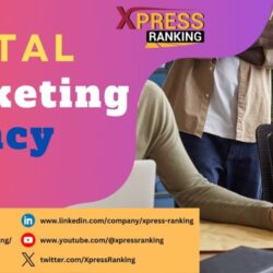 Digital Marketing Agency (5)