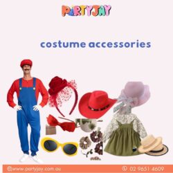 costume_Party_optimized_250