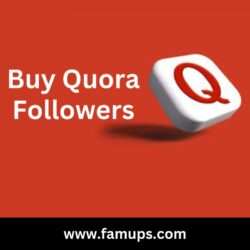 buy quora followers (1)
