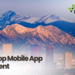 Denver's Top Mobile App Development