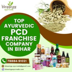 Top-Ayurvedic-PCD-Franchise-Company-in-Bihar-low-1024x1024