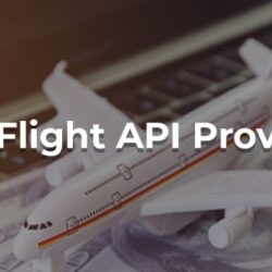 Best Flight API Providers
