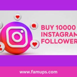 buy 1000 instagram followers (7)