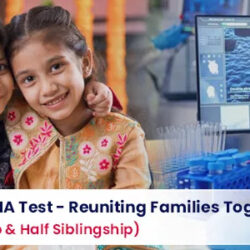 Sibling DNA Testing - Applications, Types and Procedure