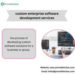 custom enterprise software development services (1)