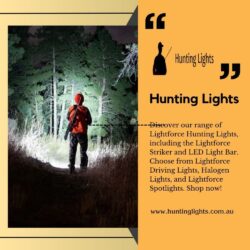 Hunting Lights (1)