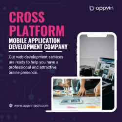 cross platform mobile application development company (1) (2) (1)