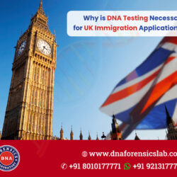 Why-is-DNA-Testing-Necessary-for-UK-Immigration-Applications
