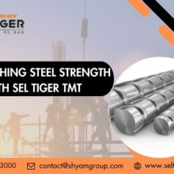 Unleashing Steel Strength With SEL Tiger TMT