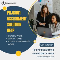 PRJ6001 Assignment Solution Help