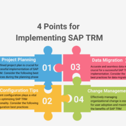 4 Points for SAP TRM  (1)