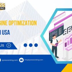 Search Engine Optimization  company in USA