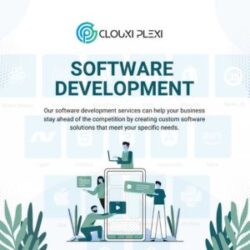 Leading Software Development Company In Town