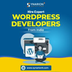 Hire Expert WordPress Developers From India (1)