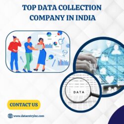 Best Data Collection Services In India (1)