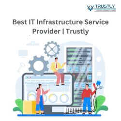 Best IT Infrastructure Service Provider  Trustly