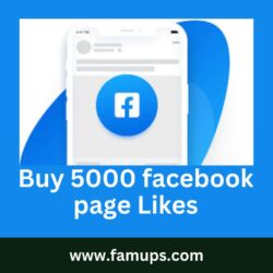 buy 5000 facebook page likes (1)