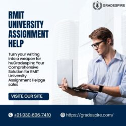 RMIT University Assignment Help (1)