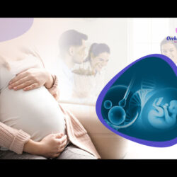 IVF Treatment cost in Bangalore (2) (1)