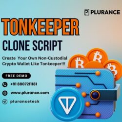 Tonkeeper Clone Script