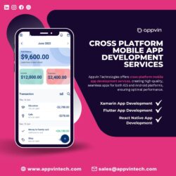 cross platform mobile app development services (1) (2) (1)