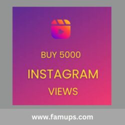buy 5000 instagram views