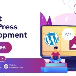 Expert  WordPress  Development Service