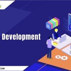 Expert  React JS Development  Services