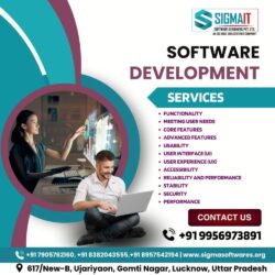 Best Software Company in Lucknow (4)