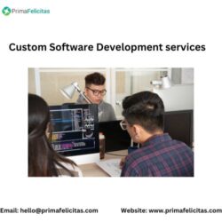 Custom Software Development services (1)