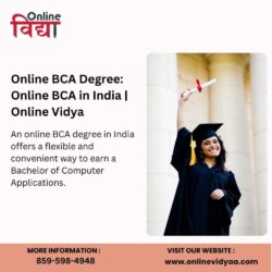 Online BCA degree (online vidyaa)