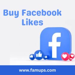 buy Facebook likes (12)