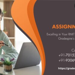 RMIT Assignment Help New