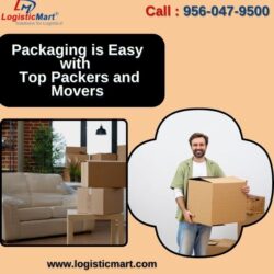 packaging of goods with movers